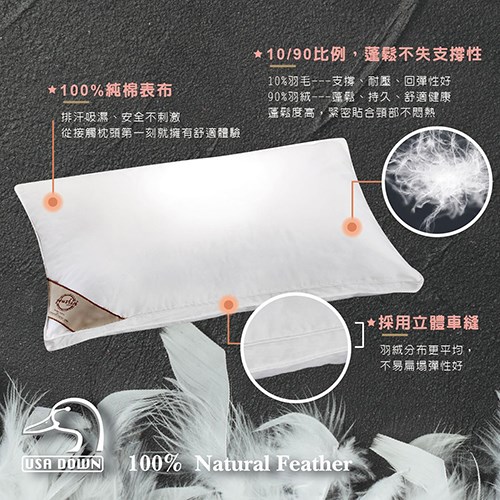 奧斯汀/都會舒眠羽絨枕/PA1571