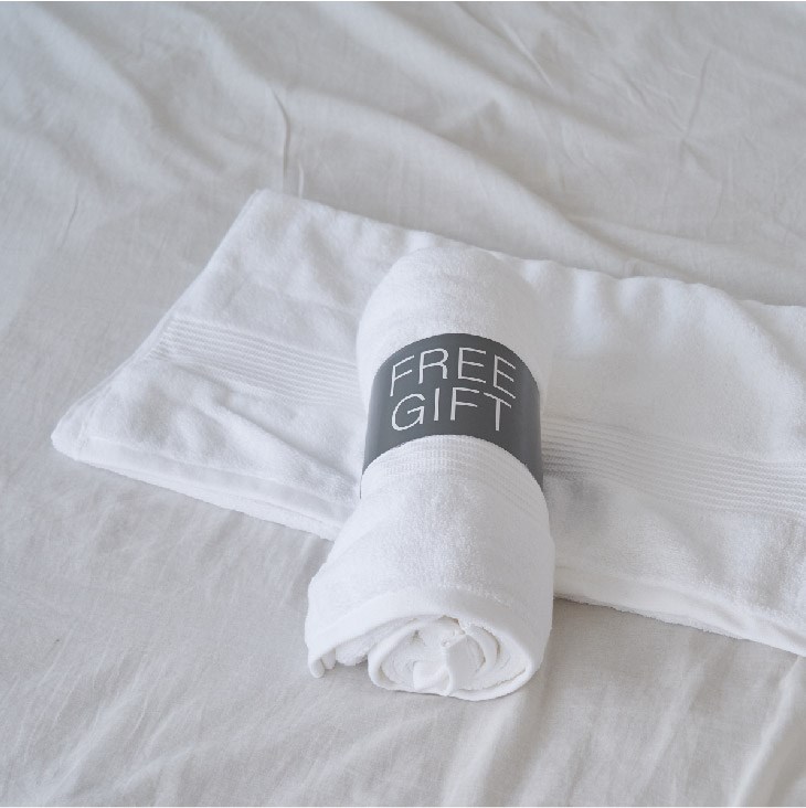 奧斯汀/標準型無壓記憶枕/PA1901