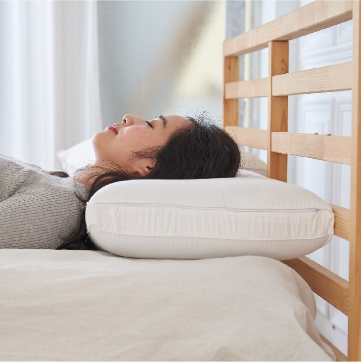 奧斯汀/標準型無壓記憶枕/PA1901