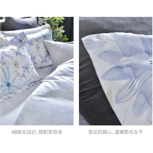 恩比 / 健康防螨抗菌40支天絲系列-EN610兩用被床包組