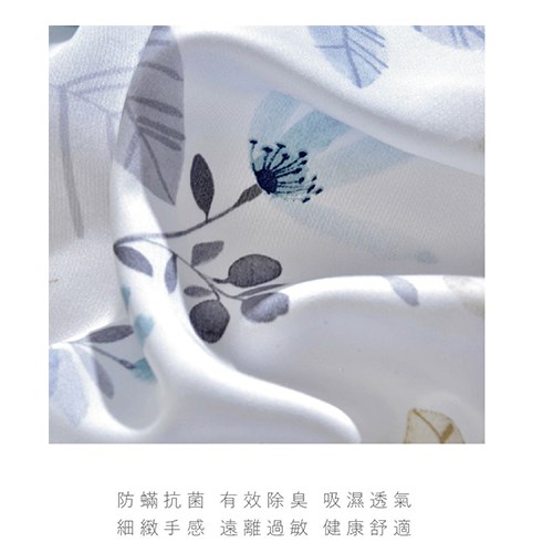 恩比 / 健康防螨抗菌40支天絲系列-EN610兩用被床包組