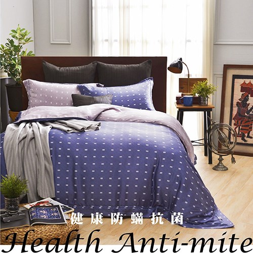 恩比 / 健康防螨抗菌40支天絲系列-EN608兩用被床包組