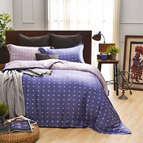 恩比 / 健康防螨抗菌40支天絲系列-EN608兩用被床包組