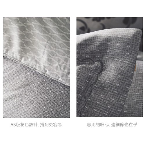 恩比 / 健康防螨抗菌40支天絲系列-EN603兩用被床包組