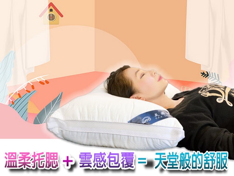 兒童枕 枕頭  乳膠枕 人體工學枕 好睡得枕頭  舒柔枕  造型枕 止酣枕 枕 造型枕 矽膠枕 記憶枕 羽絨枕 飯店枕  五星級飯店枕