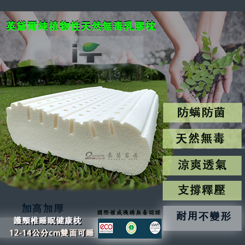 兒童枕 枕頭  乳膠枕 人體工學枕 好睡得枕頭  舒柔枕  造型枕 止酣枕 枕