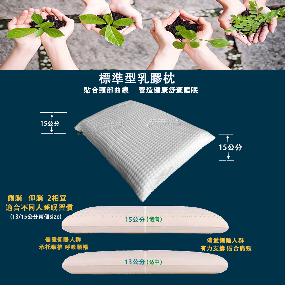 兒童枕 枕頭  乳膠枕 人體工學枕 好睡得枕頭  舒柔枕  造型枕 止酣枕 枕