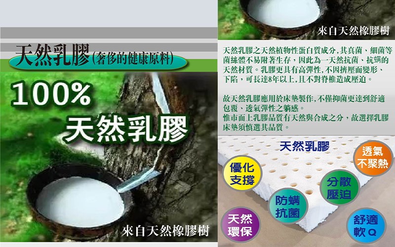 RX品牌-綠芽天絲乳膠獨立筒床墊