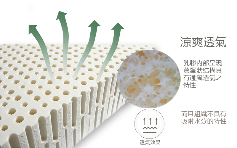 荷蘭英黛爾天然無毒乳膠床墊/8501/8公分/標準硬度