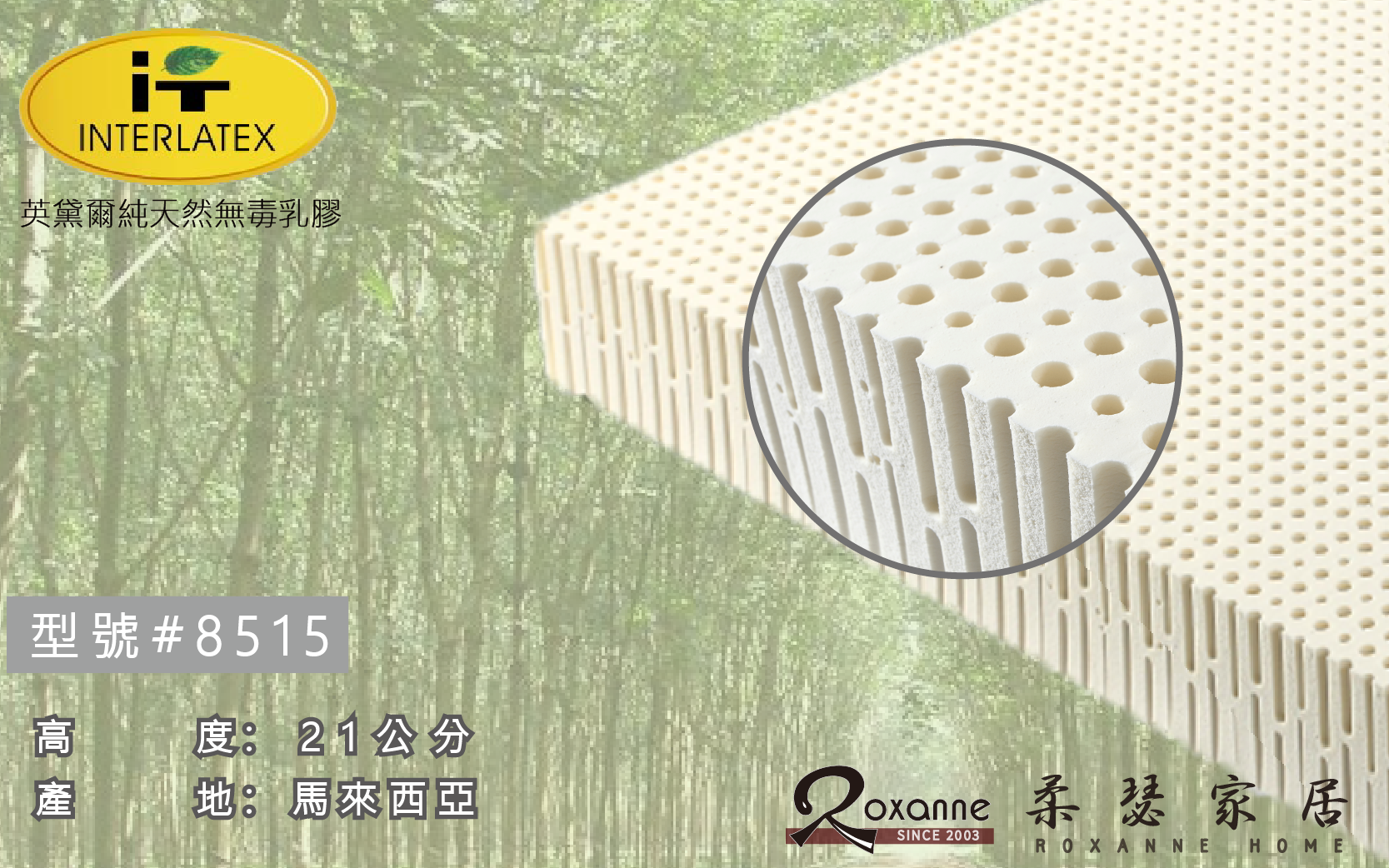 英黛爾天然無毒乳膠床墊/8515/21公分/加硬加厚硬度