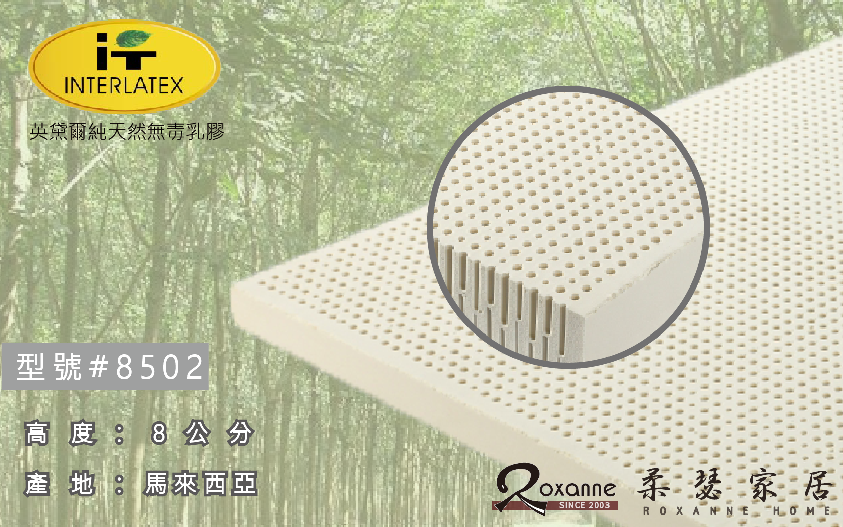 英黛爾天然無毒乳膠床墊/8502/8公分/加硬硬度 