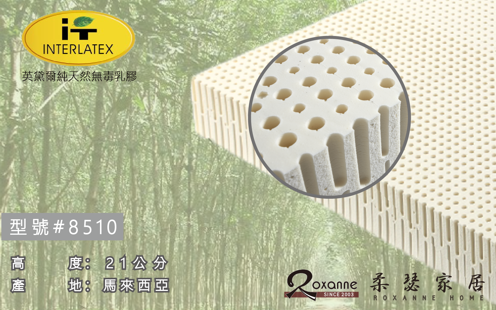 英黛爾天然無毒乳膠床墊/8510/21公分/標準硬度 