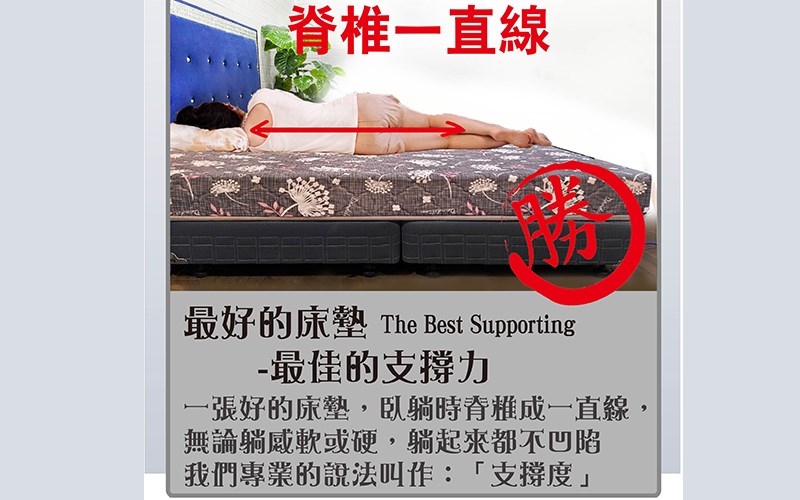 柔瑟家居/RX-蒲公英特價護背硬床