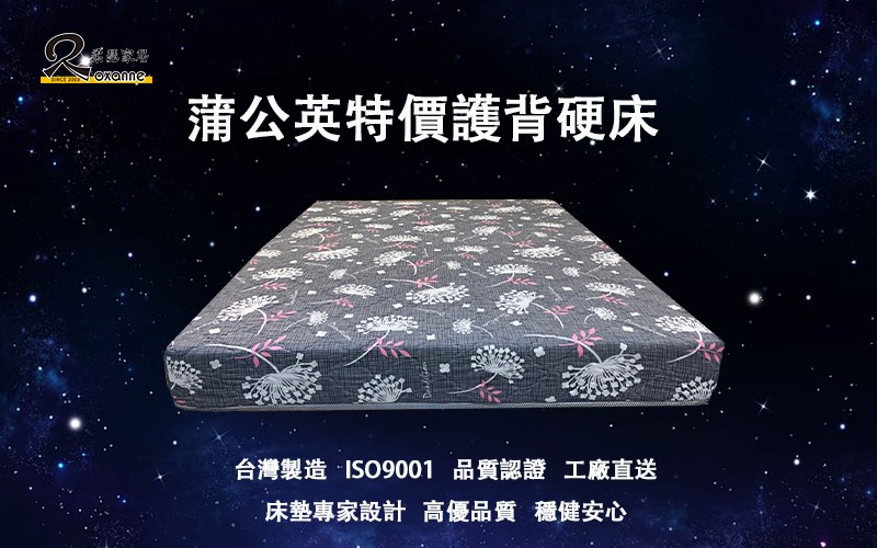柔瑟家居/RX-蒲公英特價護背硬床