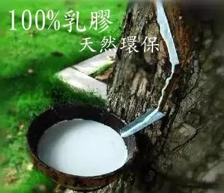 RX100%純天然無毒乳膠薄墊(5/10/15/20公分任選)