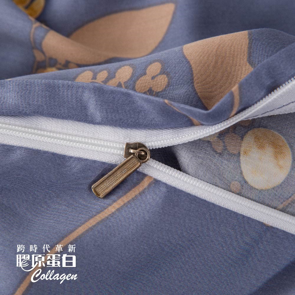 AST-天絲膠原蛋白系列/2123小夜曲/兩用被床包組