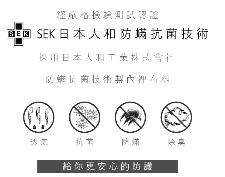 CFF-恩比/80支天絲床罩組/兩用被床包組/雅典