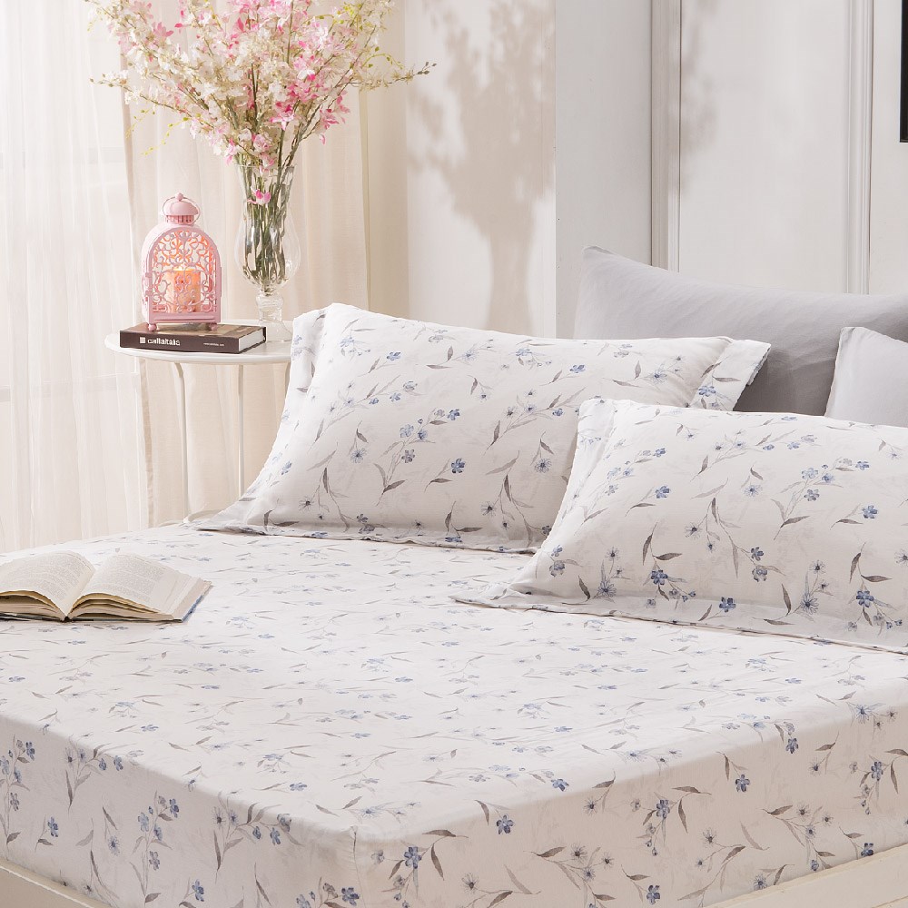 兩用被床包組/床罩組/床包組/被單 /天使天絲/2201森林精靈