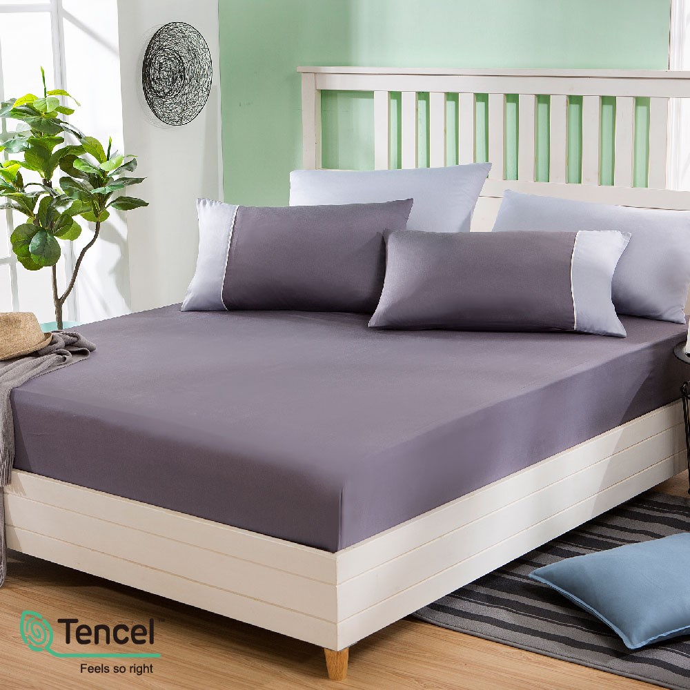 奧斯汀/兩用被床包組/床罩組/床包組/被單/夢幻天絲/2238-5個性紫