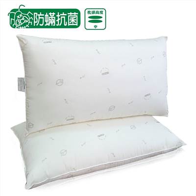 兒童枕 枕頭  乳膠枕 人體工學枕 好睡得枕頭  舒柔枕  造型枕 止酣枕 枕 造型枕 矽膠枕 記憶枕 羽絨枕 飯店枕  五星級飯店枕