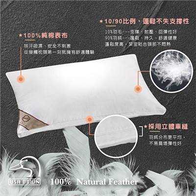 奧斯汀/都會舒眠羽絨枕/PA1571
