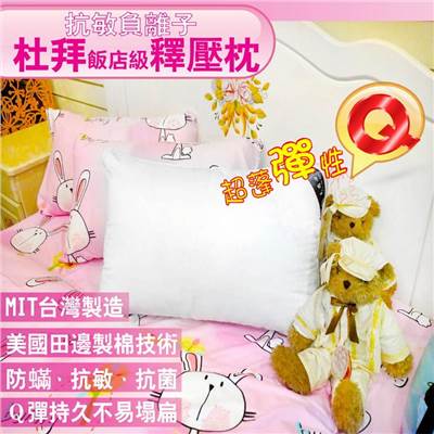兒童枕 枕頭  乳膠枕 人體工學枕 好睡得枕頭  舒柔枕  造型枕 止酣枕 枕 造型枕 矽膠枕 記憶枕 羽絨枕 飯店枕  五星級飯店枕