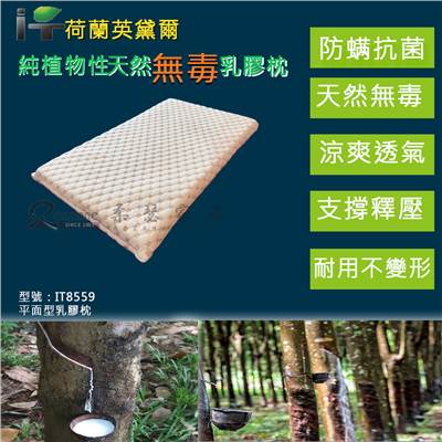 兒童枕 枕頭  乳膠枕 人體工學枕 好睡得枕頭  舒柔枕  造型枕 止酣枕 枕