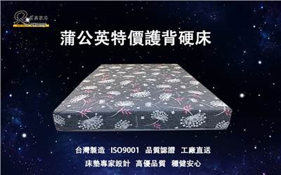 柔瑟家居/RX-蒲公英特價護背硬床